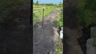 Graceful bamboo windbreak install