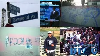 Raymond Avenue Crip Hood (Los Angeles)