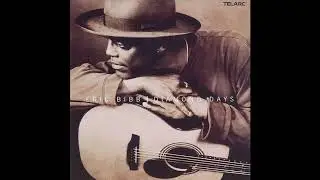 Eric Bibb - Shine On