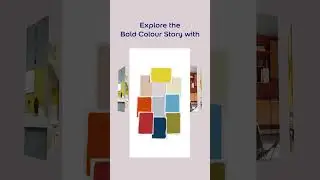 Bold Colours. Bold Ideas