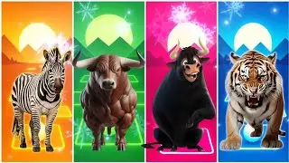 Funny Zebra 🦓🆚 Funny  Bull 🐂🆚 Funny Ferdinand 🐃🆚 Funny Tiger 🐅🆚 Tiles Hop EDM Rush