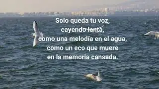 UNA HERMOSA MENTIRA
