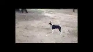 SomeBUDDY feat. Harley and Cairo