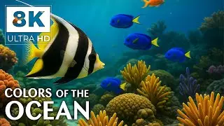 Echoes of the Deep 🌊 | 8K HDR Underwater Odyssey with Relaxing Music &ndash; Earth&rsquo;s Hidden Ocean Worlds