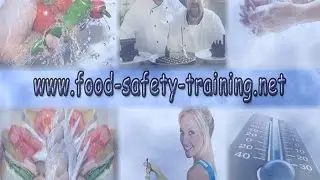 Food Hygiene Training Courses - Video 8 - Level 4 Award in Managing Food Safety in Catering
