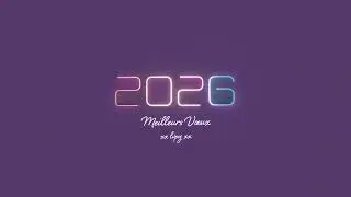 Le vilain petit Graphiste - 2026 - LES VOEUX DU CANARD