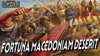 Fortuna Macedoniam deserit - Total War ROME II