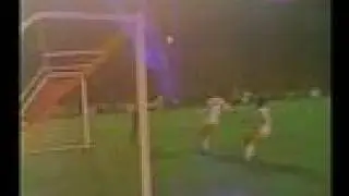 NASL Soccer Bowl Final 1981: Chicago Sting v New York Cosmos