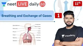 NEET: Breathing and Exchange of Gasses | L1 | Biology l Unacademy NEET | Ashish Parashar