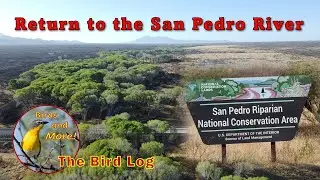 Return to the San Pedro River