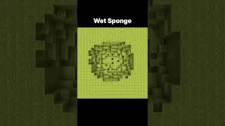 Wet Sponge #minecraft