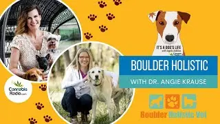 Boulder Holisitic with Dr. Angie Krause