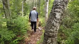 Lake Superior Watershed Conservancy's - Hilb Preserve Trail maintenance