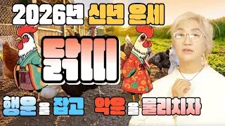 🐵🐒2026년 신년운세_원숭이띠🐒🐵_ 지금까지 힘들었던 만큼 보상 받아라 들어온다 들어와 대운의 기운이!!!!!