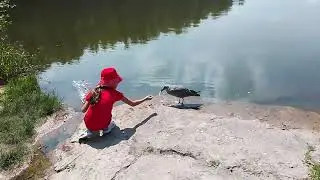 Лесопарк Измайлово / Измайловский ПКиО, жара, июль   ///   Izmailovo Forest Park / Izmailovo Park