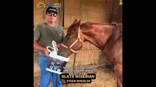 Supplement for Senior Horses, Equine Joint Supplement