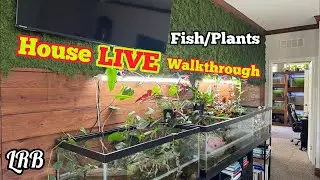 Sneak a LIVE Peak Inside LRBs House Lots of Plants and Aquariums