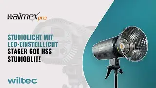 Walimex pro Stager 600 HSS Studioblitz, 600 W Studiolicht mit LED-Einstelllicht