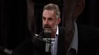 Unlocking Your True Potential - Jordan Peterson