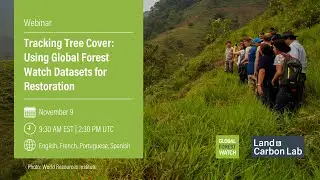 Webinar: Tracking Tree Cover: Using Global Forest Watch Datasets for Restoration (English)