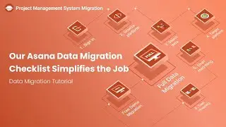 Look No Further: Our Asana Data Migration Checklist Simplifies the Job