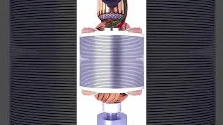 Is this Electric Motor 3D Model Professional? | b3d | Happy New year!