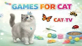 CAT GAMES 🐾 3D Cat TV Adventure &ndash; Cricket Hunt &bull; Bird Chase &bull; Chicken Run! 😺 | 6 Hours 4K60FPS