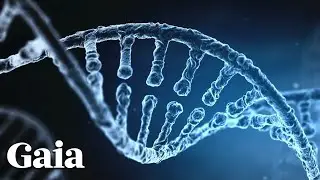 The Human Genome Project Patented Our Genes