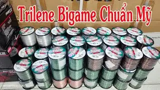 D&acirc;y C&acirc;u C&aacute; Berkley Trilene Bigame Chuẩn Mỹ