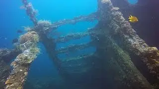 Diving USAT Liberty Wreck Tulamben, Bali Indonesia