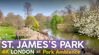 ST JAMES’S PARK Afternoon Ambience 🇬🇧 London, UK【4K 🎧 Binaural Video】
