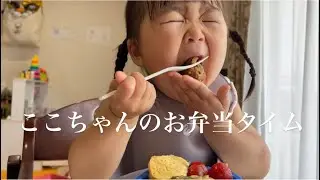 【爆食い】めっちゃお弁当食べまーす！