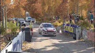 Ford Fiesta Voador