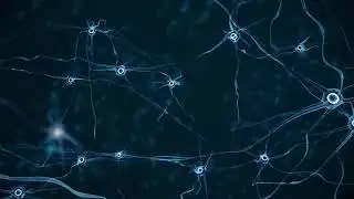Increase kids Intelligence, IQ, Brain Power and Memory by binaural beats