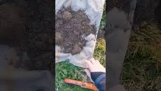 Old Spanish Silver Coin on a Farm! Metal Detecting