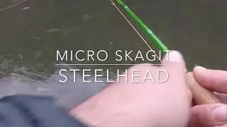 Swinging Flies With Micro Skagit For Winter Run Steelhead