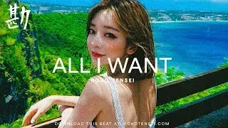 FREE Dpr Live x Sik-K x GRAY Type Beat 2019 'All I Want' 디피알라이브 X 식케이 X 그레이 타입 비트 힙합 알앤비 비트 무료비트