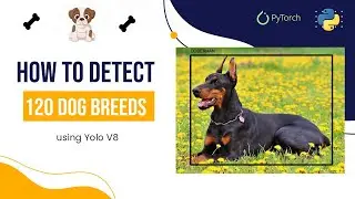 How to Detect Dogs using Deep learning
