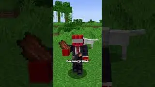 Secret food in minecraft