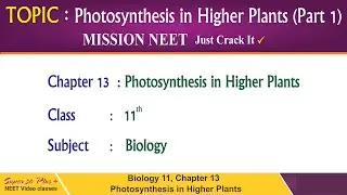 Biology Class-11 | Chapter-13 Photosynthesis in Higher Plants Part-1 | JEE/NEET