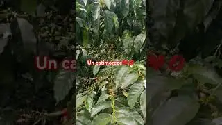 12 de febrero de 2026