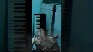 All Alone Again Original Live Looping Session #music #guitarmusic #looping #viralshorts #metalmusic