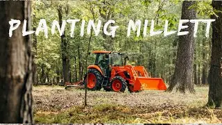 A Day In The Woods Planting Millett | All For A Mallard Duck | BEHIND THE LANYARD With Rusty Creasey