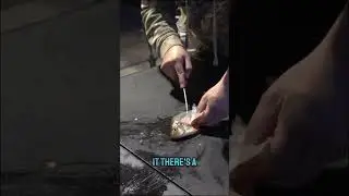 How to Fillet Crappie Like A Pro