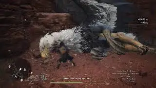 Dragon's Dogma 2 (2024) &mdash; Gameplay Livestream #36