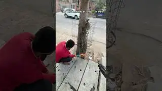 You Wont Believe How I Saved Millions of Trees in India