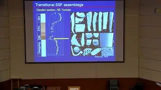 Insight into the base of the Cambrian: New data from South China and Siberia