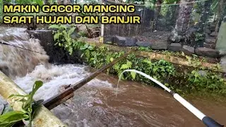 Mancing Saat Hujan dan Banjir Banyak ikan Keluar Dari Sarangnya #LM22