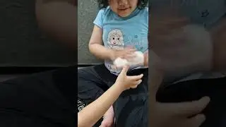 MAIN SQUISHY STICKY OREO TOAST..(gweninanchannel9224)