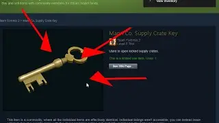 The TF2 Trading Experience